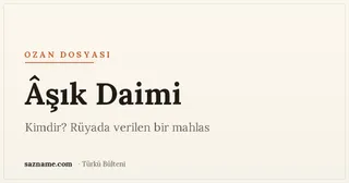 Gece göğü altında bağlama silüeti