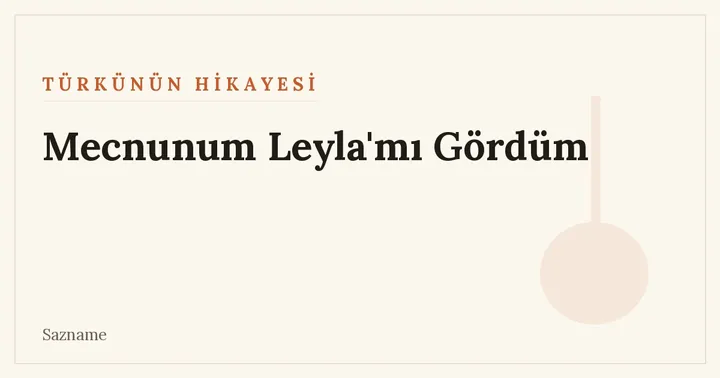 Mecnunum Leyla'mı Gördüm türküsü ve İğdecikli Âşık Veli üzerine Sazname dosyası kapağı