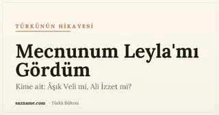 Mecnunum Leyla'mı Gördüm türküsü ve İğdecikli Âşık Veli üzerine Sazname dosyası kapağı