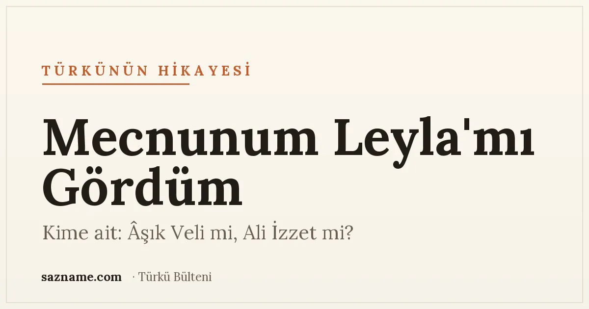 Mecnunum Leyla'mı Gördüm türküsü ve İğdecikli Âşık Veli üzerine Sazname dosyası kapağı